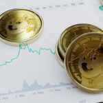 The Rise of Meme Coins in Latin America’s Crypto Boom