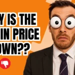 JUST IN : Bitcoin Price Falls — And As Usual, Nobody Knows Why